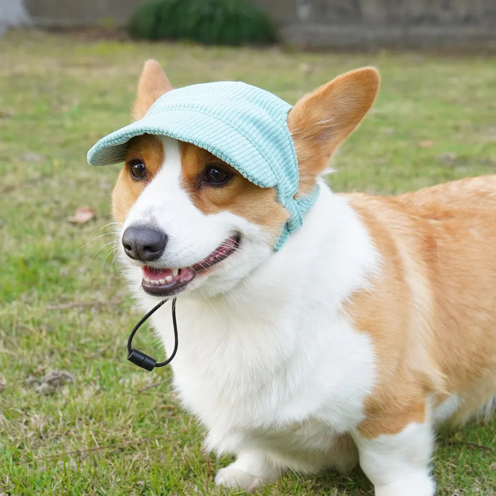 ADALPAWS™ Corduroy Pet Sun Hat